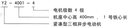 YR系列(H355-1000)高压YRKK3552-4/185KW三相异步电机西安西玛电机型号说明